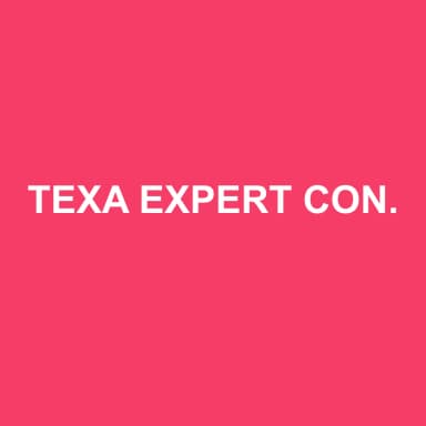 Logo de TEXA EXPERT CONSEIL