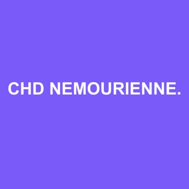 Logo de CHD NEMOURIENNE GESTION COMPTABLE