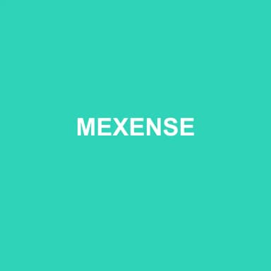 Logo de MEXENSE