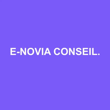 Logo de E-NOVIA CONSEILS ET EXPERTISES