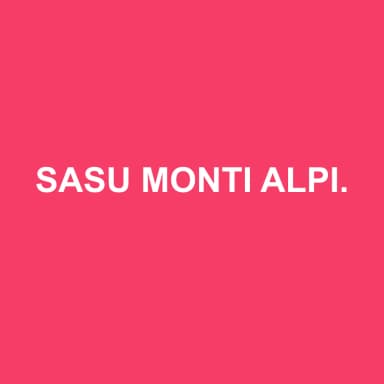 Logo de SASU MONTI ALPINI SOCIETE DE PARTICIPATIONS D'EXPERTISE COMPTABLE