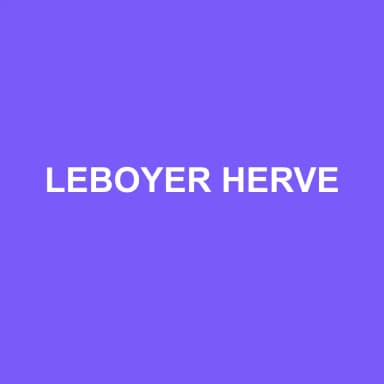 Logo de LEBOYER HERVE