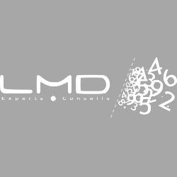 Logo de LMD EXPERTS & CONSEILS