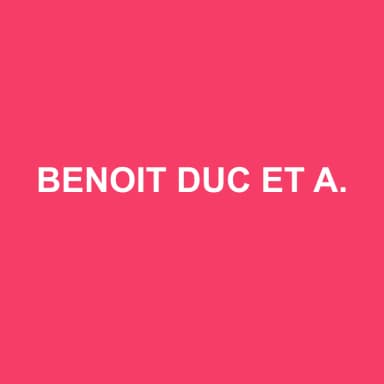 Logo de BENOIT DUC ET ASSOCIES
