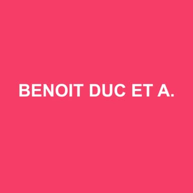 Logo de BENOIT DUC ET ASSOCIES