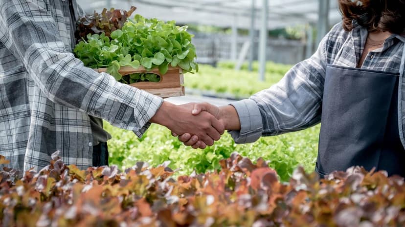 Comptabilite Gestion Ocean - photo 4