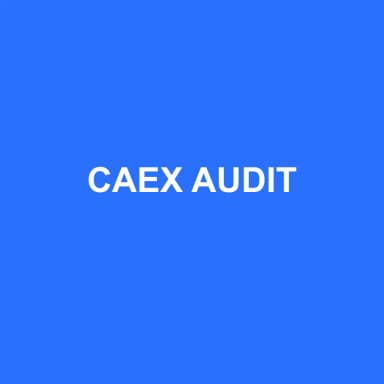 Logo de CAEX AUDIT