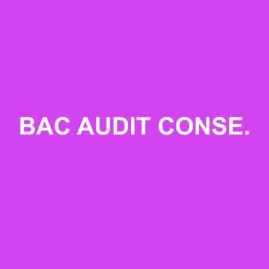 Logo de BAC AUDIT CONSEIL CHATEAUBRIANT