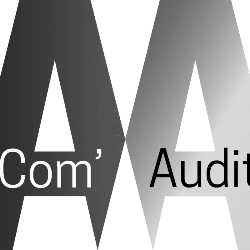 aa Com'audit - photo 1