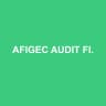 AFIGEC AUDIT FINANCE INFORMATIQUE GESTION EXPERTISE