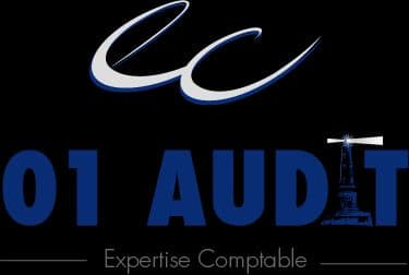 01 Audit Strategy Management - photo 1