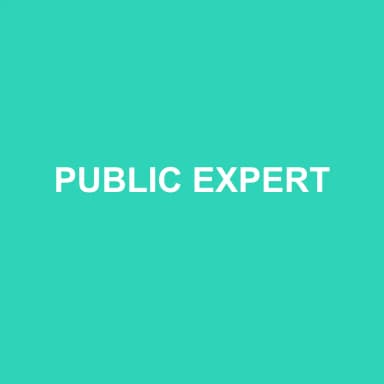 Logo de PUBLIC EXPERT