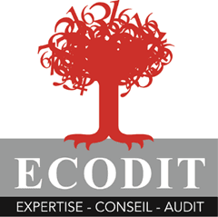 Logo Ecodit-expertise Conseil et Audit Sarl D'ec et de Cac - Expert-comptable à Terssac