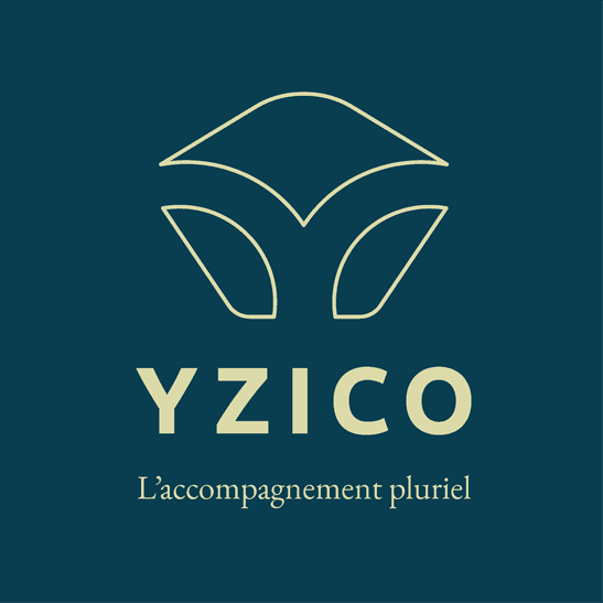 Yzico - photo 2