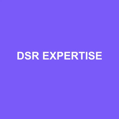 Logo de DSR EXPERTISE