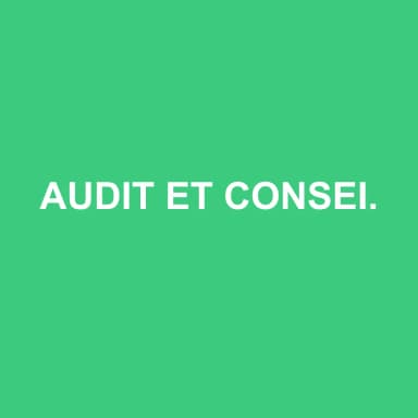 Logo de AUDIT ET CONSEILS SERGE ROZENBLUM