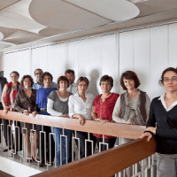 Cergi Cigos Audit - photo 1