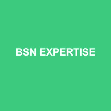 Logo de BSN EXPERTISE