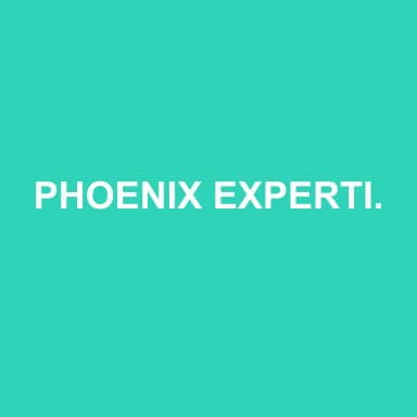 Logo de PHOENIX EXPERTISE