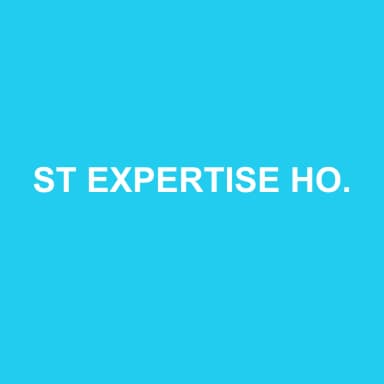 Logo de ST EXPERTISE HOLDING