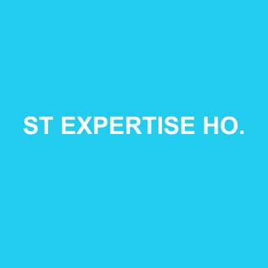 Logo de ST EXPERTISE HOLDING