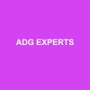 Logo ADG EXPERTS