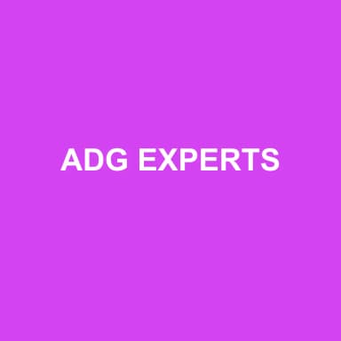 Logo de ADG EXPERTS