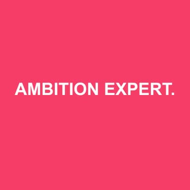 Logo de AMBITION EXPERTISE ET SERVICES