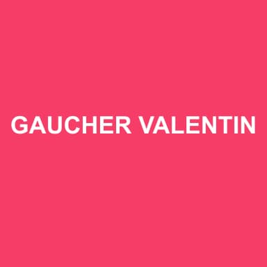 Logo de GAUCHER VALENTIN