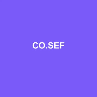 Logo de CO.SEF