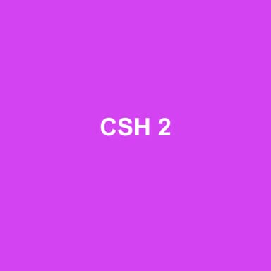 Logo de CSH 2