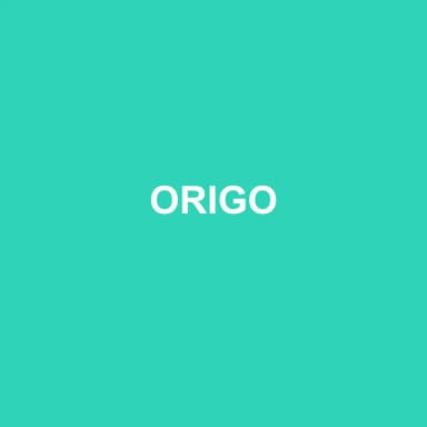 Logo de ORIGO