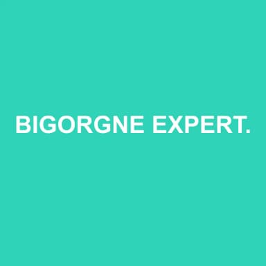 Logo de BIGORGNE EXPERT-COMPTABLE