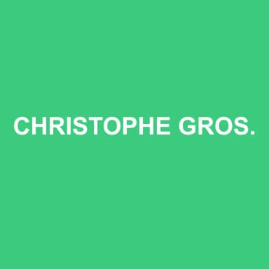 Logo de CHRISTOPHE GROS EXPERTISE