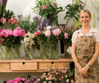 Agc Vosges - photo 3