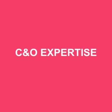 Logo de C&O EXPERTISE