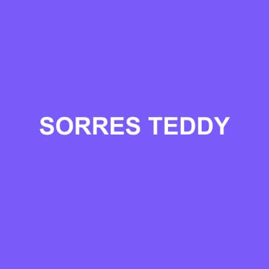 Logo de SORRES TEDDY