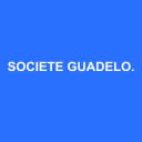 Logo SOCIETE GUADELOUPEENNE D'EXPERTISE COMPTABLE D'AUDIT ET DE CONSEILS