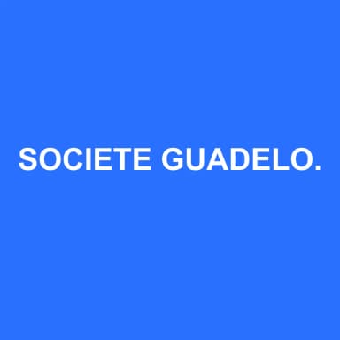 Logo de SOCIETE GUADELOUPEENNE D'EXPERTISE COMPTABLE D'AUDIT ET DE CONSEILS