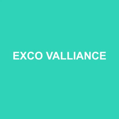 Logo de EXCO VALLIANCE