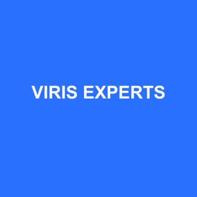 Logo de VIRIS EXPERTS