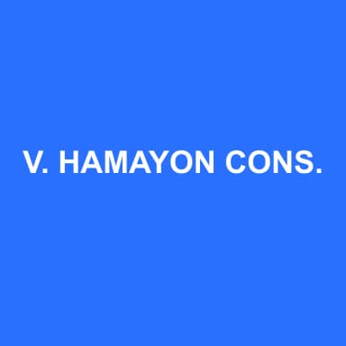 Logo de V. HAMAYON CONSEILS