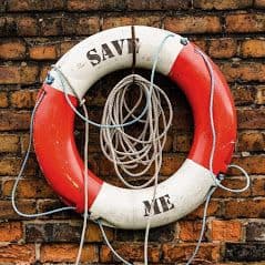 Conseil Developpement - photo 2