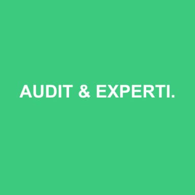 Logo de AUDIT & EXPERTISE COMPTABLE DS CONSEILS