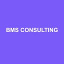 Logo de Bms Consulting