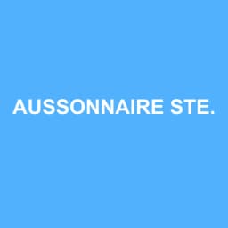 Logo de AUSSONNAIRE STEPHANE EXPERTISE CONSEIL