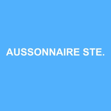 Logo de AUSSONNAIRE STEPHANE EXPERTISE CONSEIL