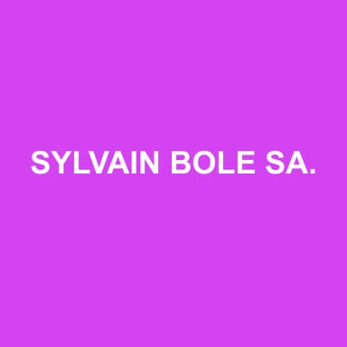 Logo de SYLVAIN BOLE SARL