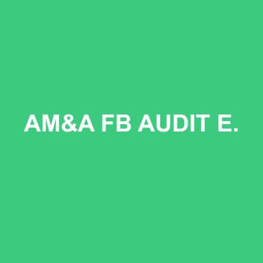 Logo de AM&A FB AUDIT ET CONSEIL