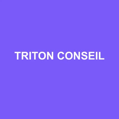 Logo de TRITON CONSEIL